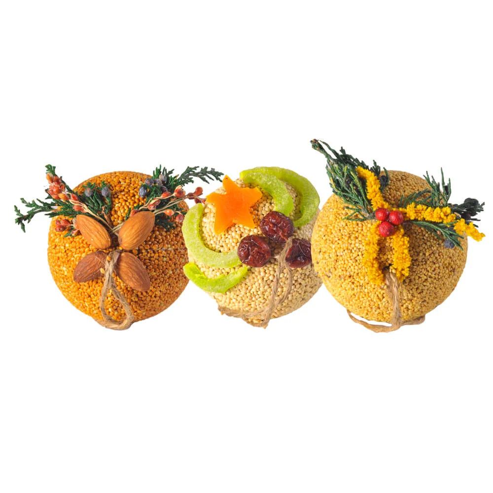 FRUIT ORNAMENT BIRD SEED BALL