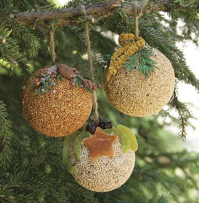 Two fruit-covered bird seed ornaments hanging from a tree branch by natural jute twine in an outdoor garden.