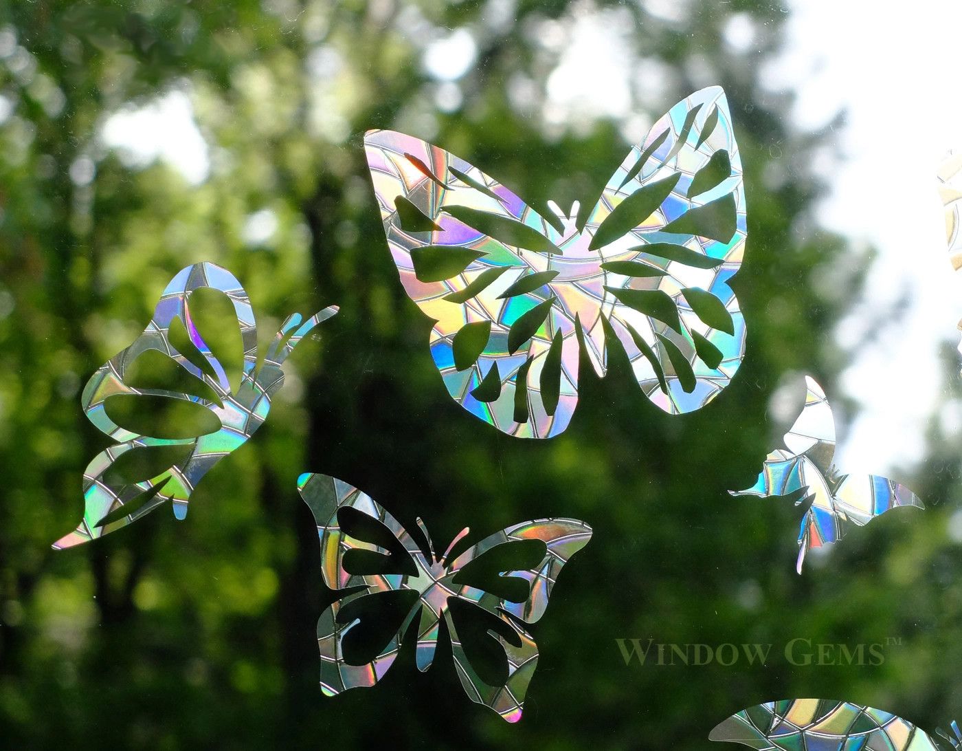 BUTTERFLY WINDOW CLING - PREVENT BIRD STRIKES