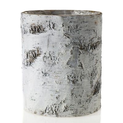 Birch Cylinder White 10&quot; x 12&quot;