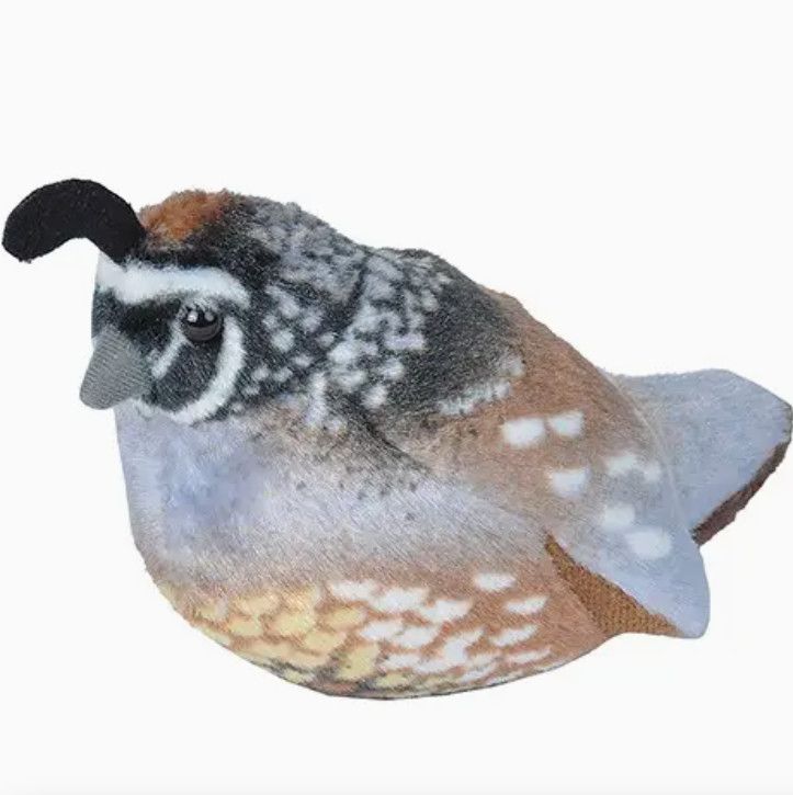 California Quail Stuffed Animal W Sound 5.5"