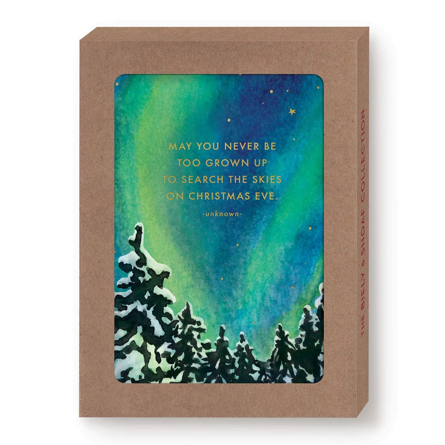 Search the Skies | Boxed Holiday Cards | Set of 10