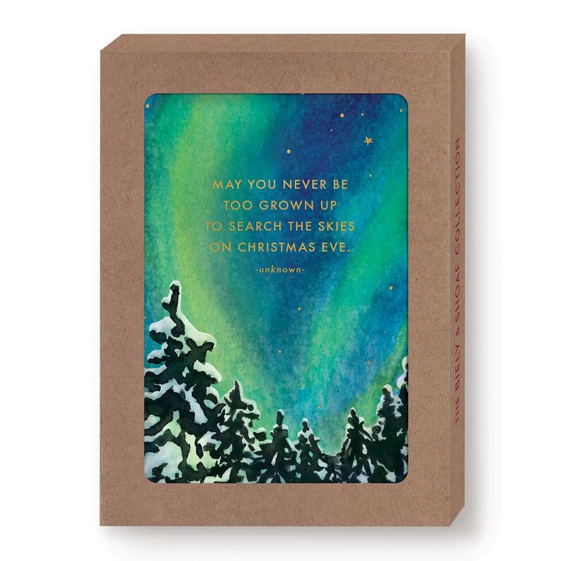 Search the Skies | Boxed Holiday Cards | Set of 10