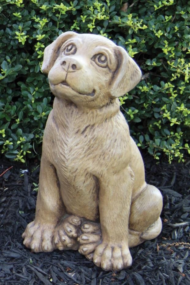13" PUPPY - LABRADOR RETRIEVER | CLASSIC AMBER FINISH