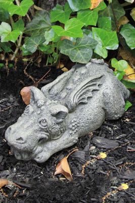 LIL DRAGON LADYBUG URBAN GREY