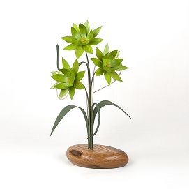 GREEN LOTUS WOOD WILDFLOWER