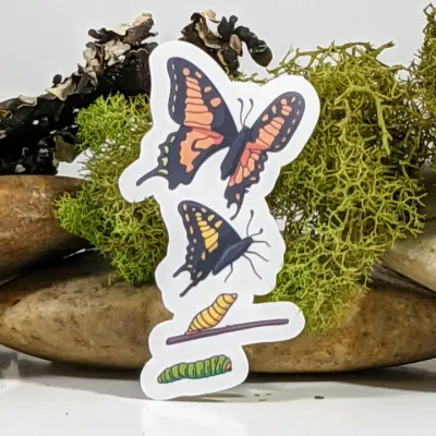 METAMORPHOSIS BUTTERFLY STICKER