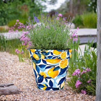 Pots, Planters &amp; Accessories