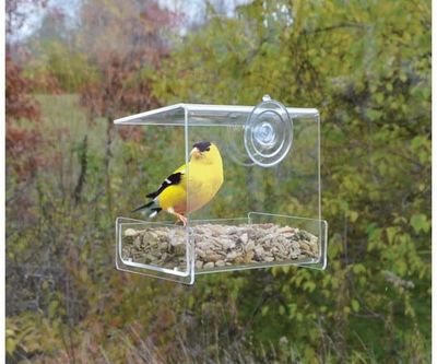 Bird Feeder Placement - the 3 or 30 Rule