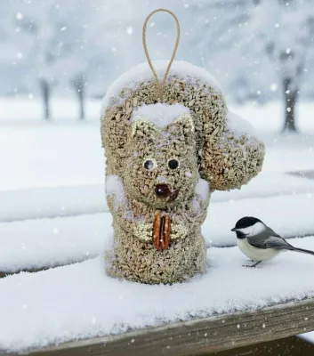 Winter Survival