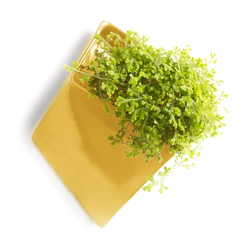 SLAB WALL PLANTER