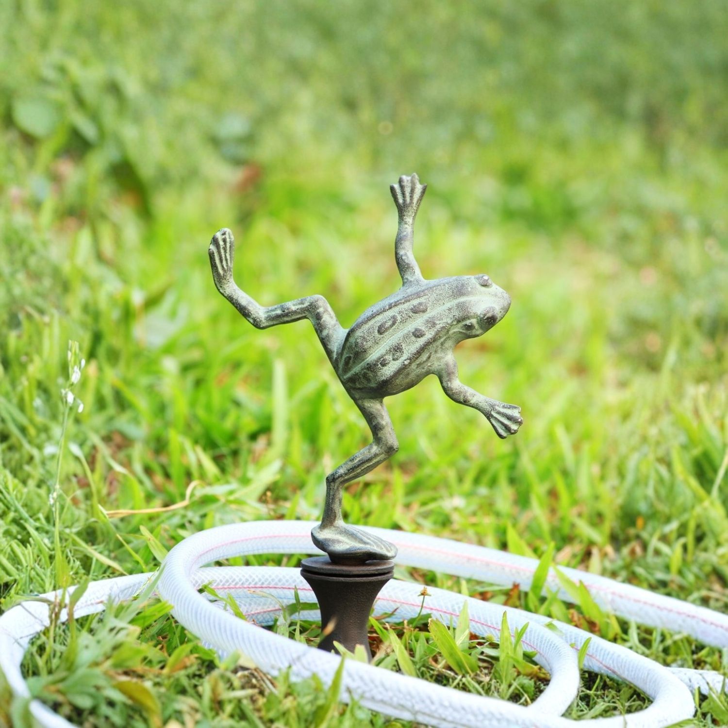 Aluminum dancing frog garden hose guide stake with hose looped around it in grass.