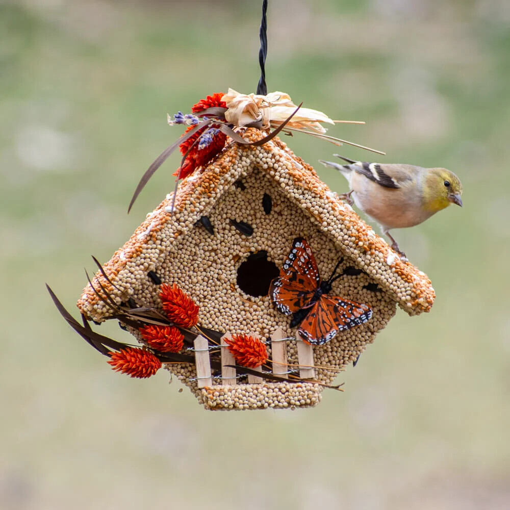 Handcrafted wooden wren birdhouse covered in edible birdseed and decorative botanicals.