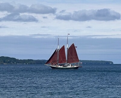 A tall-ship schooner with reddish-brown sails sailing across calm blue waters under a bright sky, featured on a small wooden 