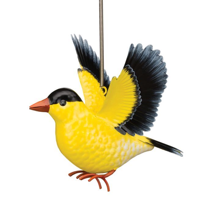 BIRD BOUNCIE - GOLD FINCH