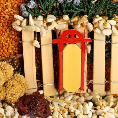 Close-up detailed picture of fence and sled on edible birdhouse