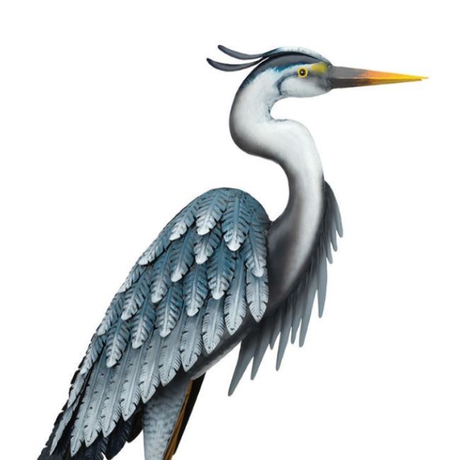 BLUE HERON 41" - DOWN