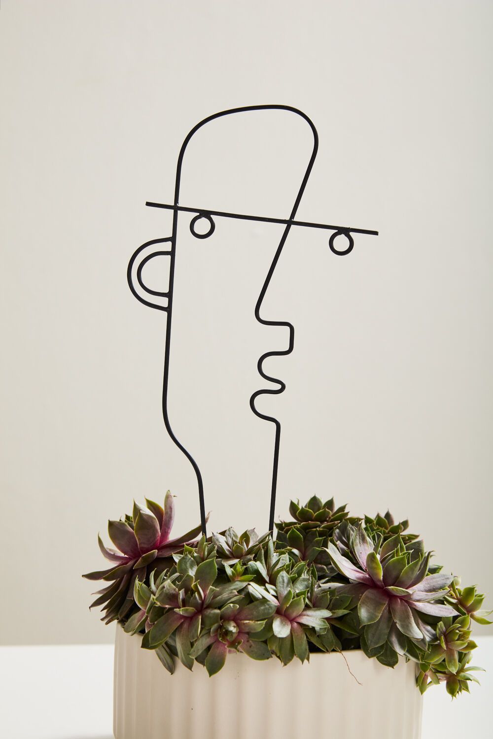 Teddy Plant Stick 6"x 0.25"x 13"