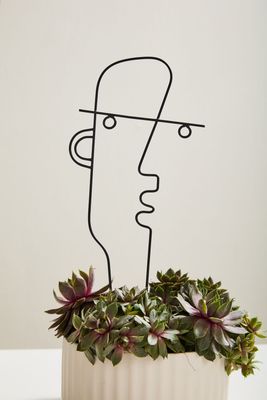 Teddy Plant Stick 6"x 0.25"x 13"