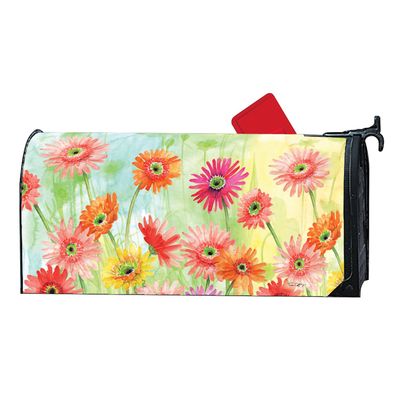 MAILWRAP GERBERA DAISIES