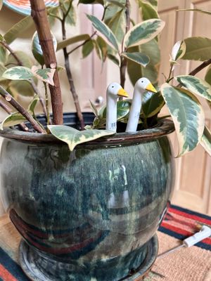 MINI GOOSE NECK POT STAKE