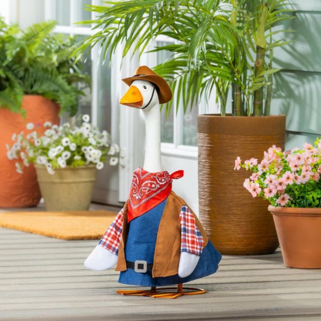 Porch Goose Outfit