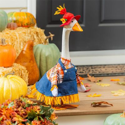 Porch Goose Outfits – Fall Collection