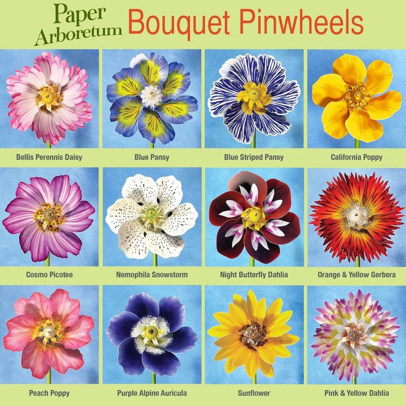 Pinwheel -