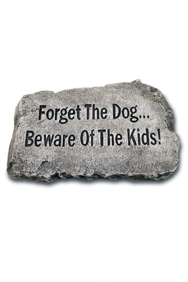 STEPPING STONE 10IN - FORGET THE DOG, BEWARE OF THE KIDS!