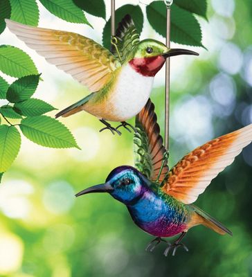 BIRD BOUNCIE - HUMMINGBIRD CORONET