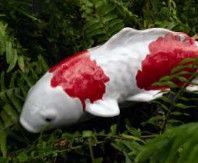 Garden Koi Fish on Stake White/Red (Fuji Red)