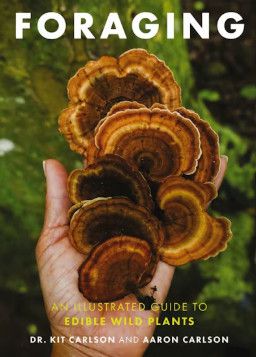 BOOK: Foraging - An Illustrated Guide to Edible Wild Plants