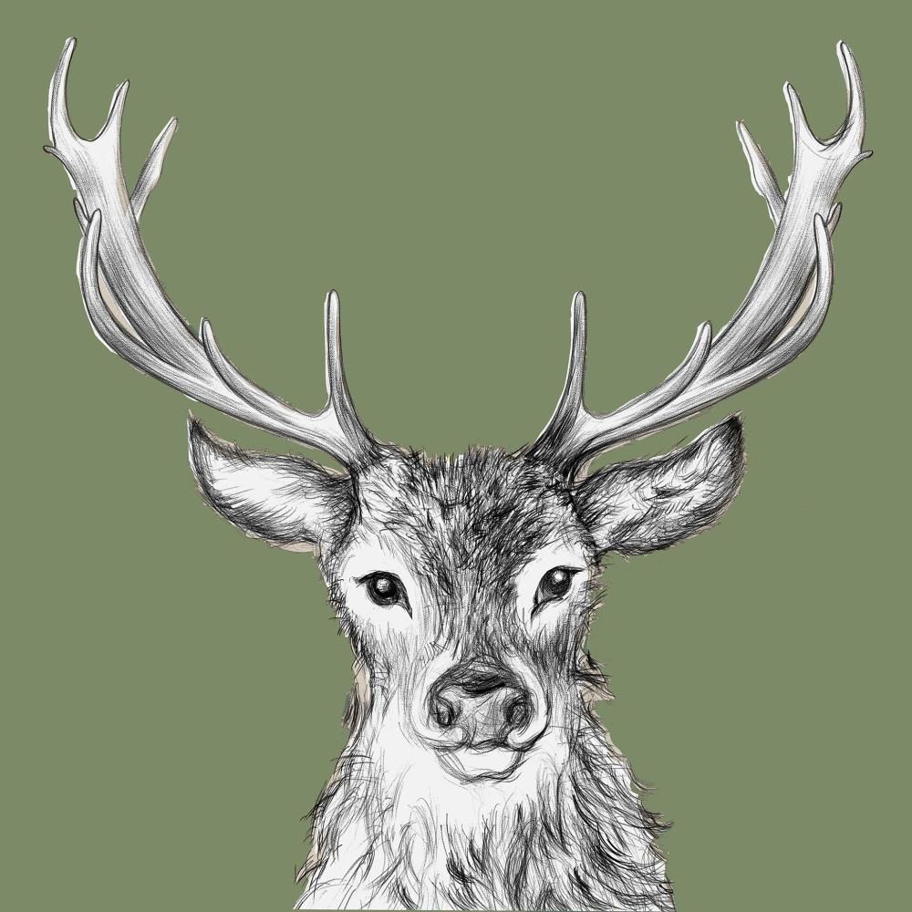 Paul the Deer, Green • Beverage Napkin