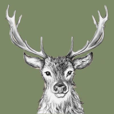 Paul the Deer, Green • Beverage Napkin