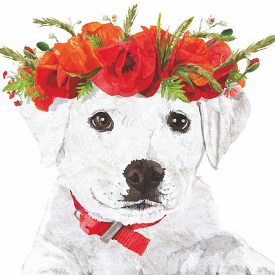 Enzo's Spring • Beverage Napkin