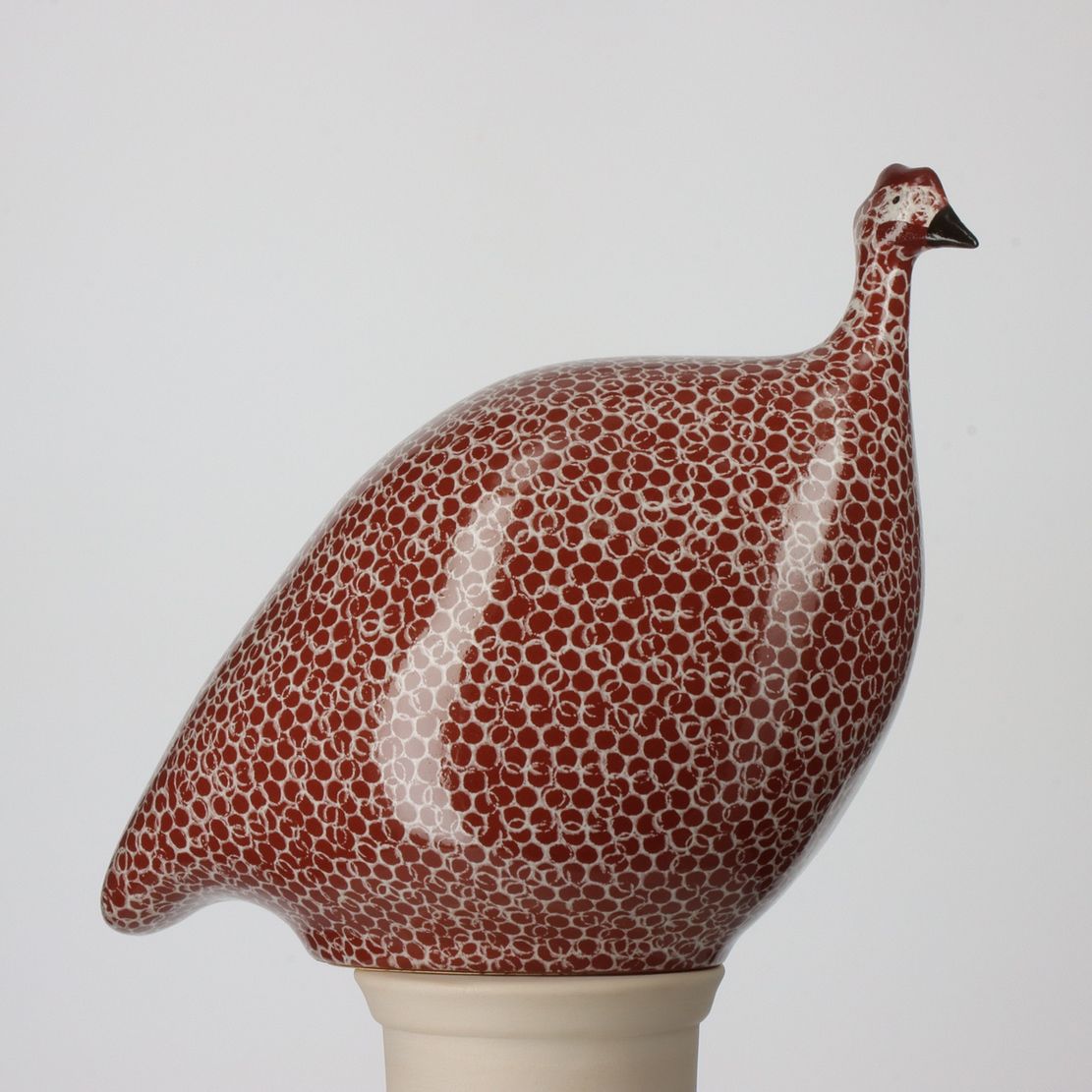 GUINEA FOWL - Bordeaux Spotted White, Size: SMALL