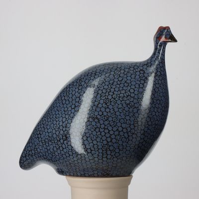 GUINEA FOWL - Electric Blue Spotted Black
