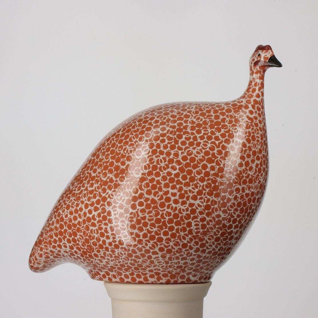 GUINEA FOWL - Red Spotted White, Size: SMALL