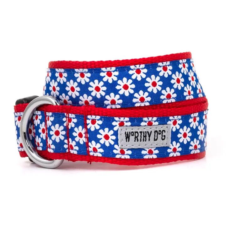 Blue daisy print dog collar with red trim and silver D-ring hardware.
