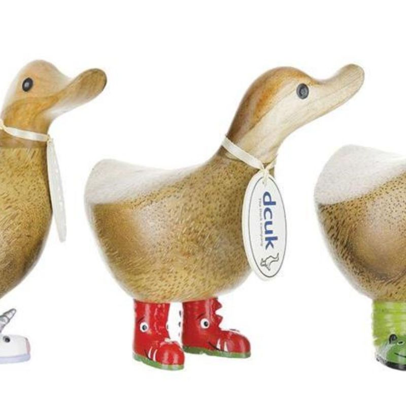 DCUK Wild Wellies Ducky DRAGON BOOTS