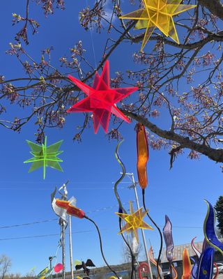 Red, green, and yellow glowing acrylic hanging stars displayed outdoors in tree branches.