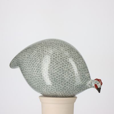 GUINEA FOWL - Polar Blue Spotted White PICO