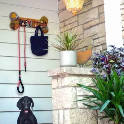 DOG LEASH RACK - "FUREVER FRIENDS"