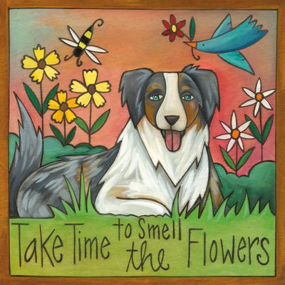 Australian Shepherd Wall Plaque 9x9 | "Walter"