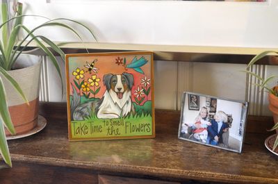 Australian Shepherd Wall Plaque 9x9 | "Walter"