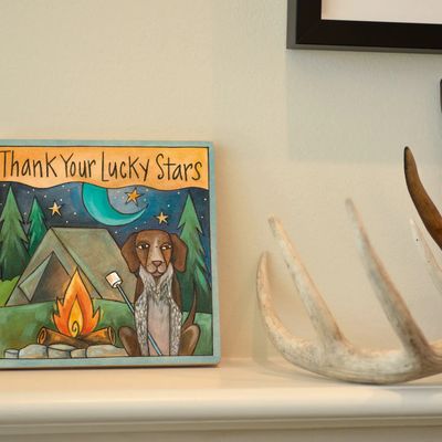 German Shorthaired Pointer Dog Wall Plaque 9x9 | "Cooper"