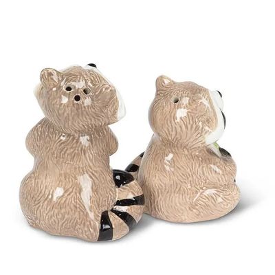 Raccoons Salt &amp; Pepper Shakers