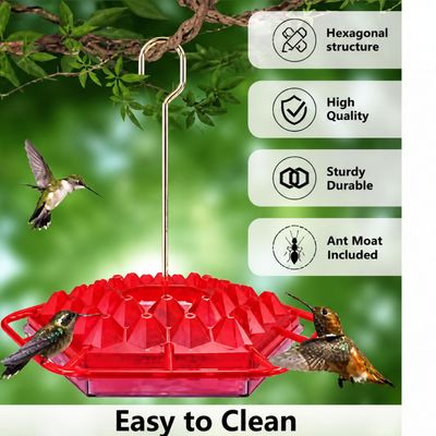 Hummingbird Feeder - the 2 Pack Double - Durable Acrylic