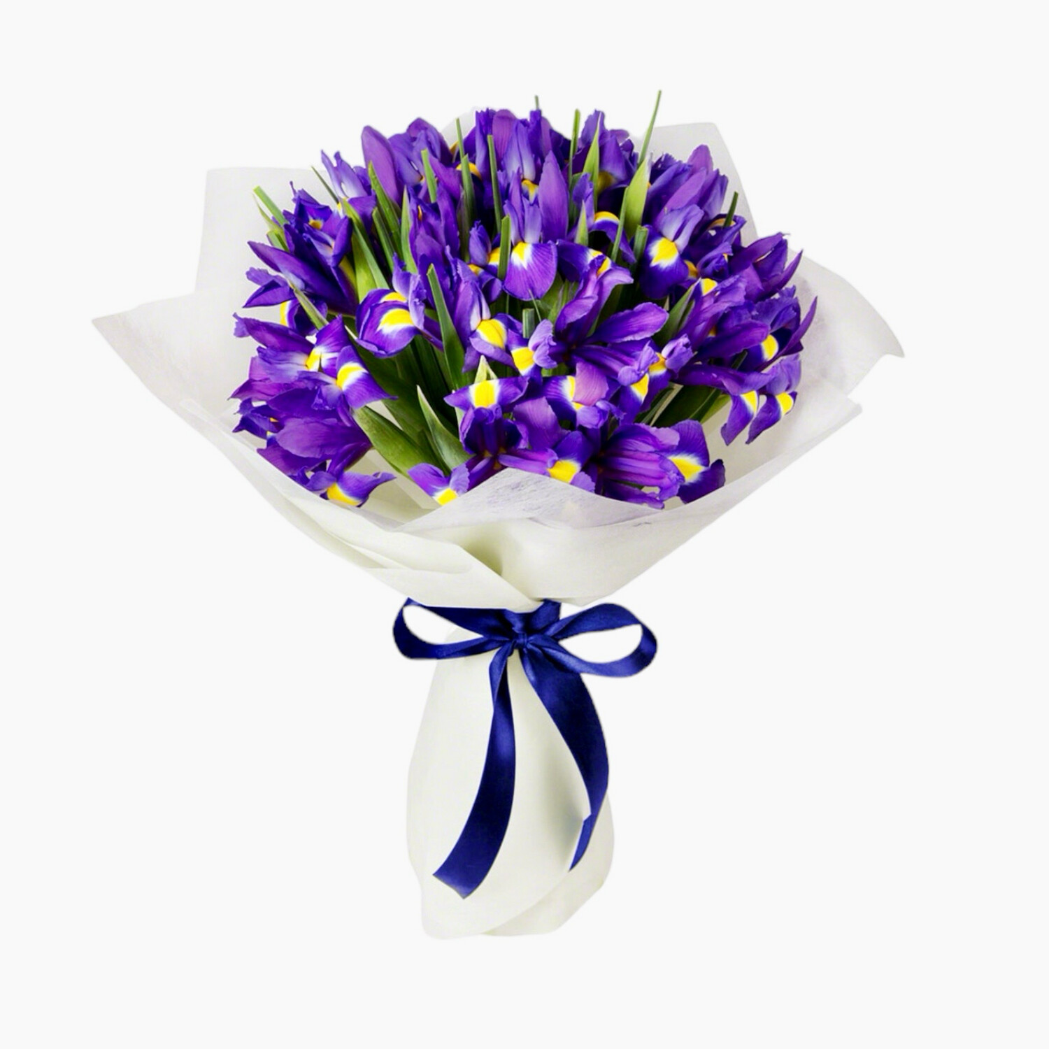 Bouquet of Irises