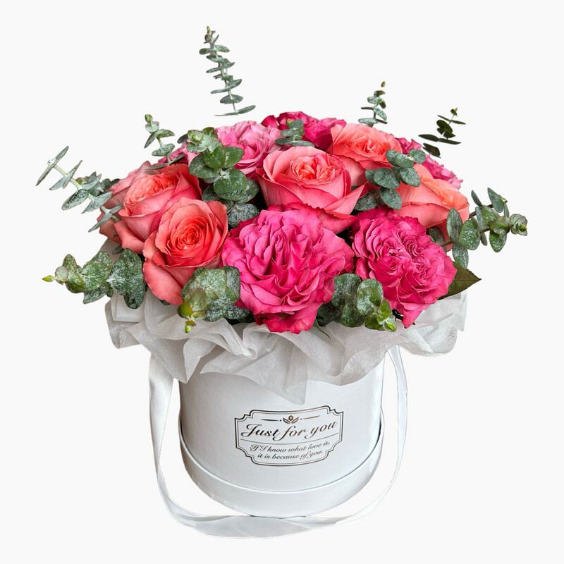 Roses in round box